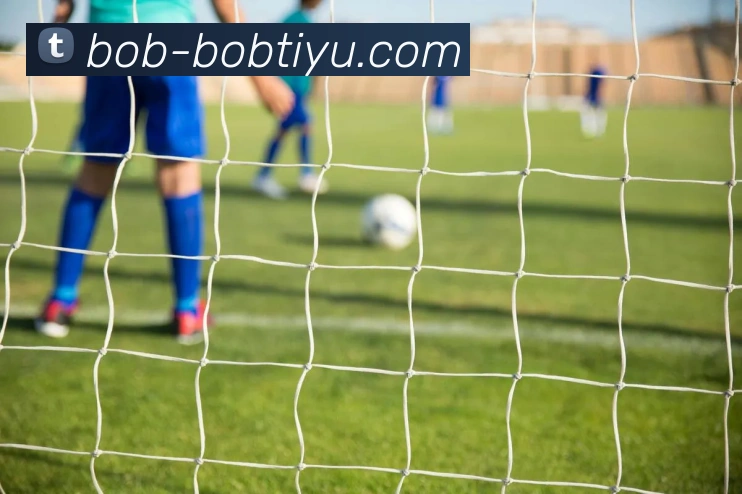 BOB体育平台生态图